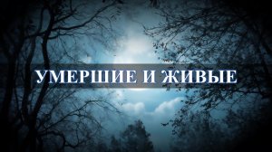 Покойный родственник вмешивается в вашу жизнь? Что с этим делать? Советы Карины Таро