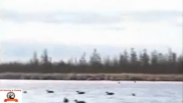 duck hunting. охота на утку с чучелами! смотреть онлайн