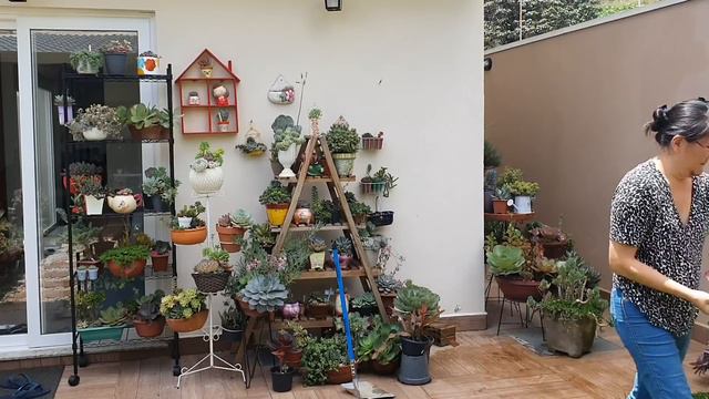 UNBOXING SURPRESA E NOVA PRATELEIRA ARAMADA NO JARDIM смотреть онлайн