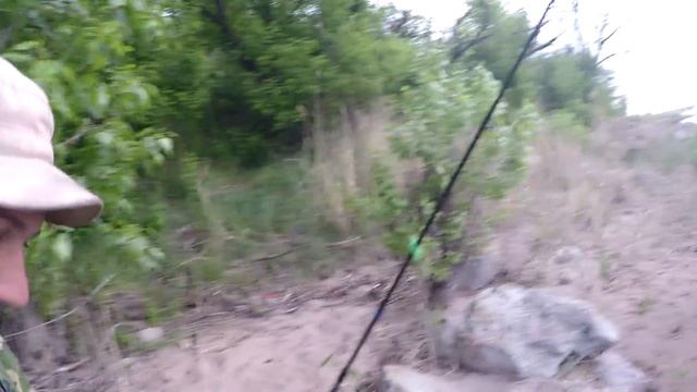 #9 Рыболовные Приключения. Рыбалка с Берега на Реке. Ловля Голавля на Течении на Донку Закидушку смотреть онлайн