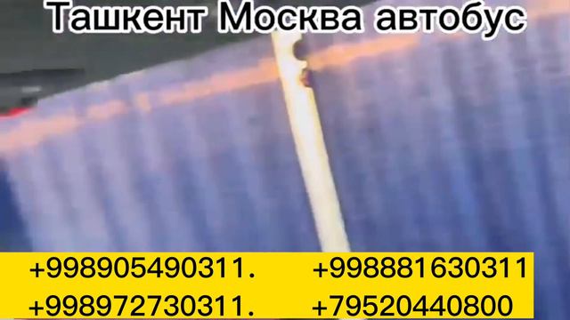 Россия Ташкент автобус катнови#москва #самара #краснодар #оренбург #тошкент #shoshiling #казан