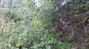 Озерский район. Московской обл. Деревня Дулебино. Водопад