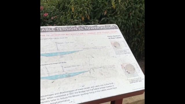 Foggy Walk in Golden Gate #goldengate смотреть онлайн