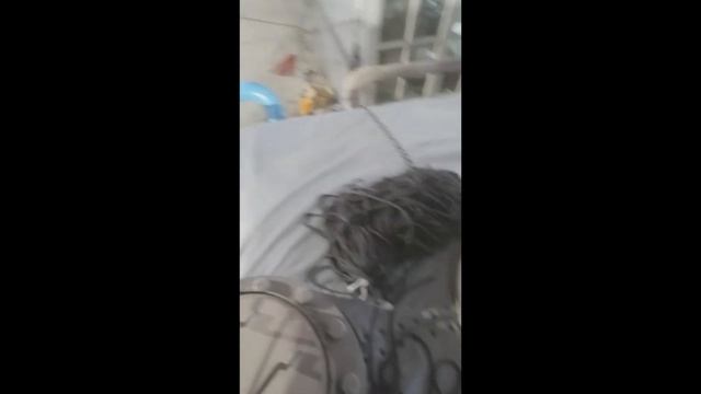 Пошив чехлов на заказ. Спецчехол