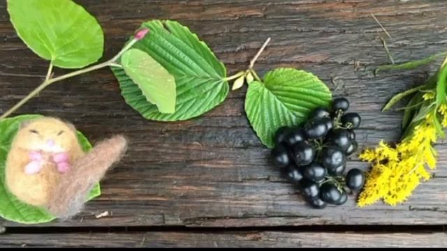 Simon&Garfunkel「America」ギター弾き語り(5) смотреть онлайн