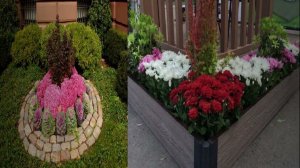 35 красивых идеи для организации клумбы