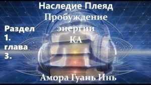 Амора Гуань Инь  НАСЛЕДИЕ ПЛЕЯД. ПРОБУЖДЕНИЕ ЭНЕРГИИ КА аудиокнига
