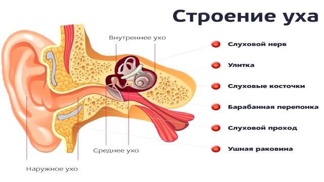 РЕАЛЬНЫЕ ЛЮДИ, которые СДЕЛАЛИ из себя МОНСТРОВ