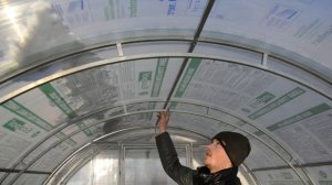 Обзор теплицы с двойными дугами