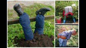 Самые креативные идеи чучела в ваш огород! Пугало огородное своими руками.