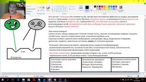 Атропин. Холиноблокаторы. V.2