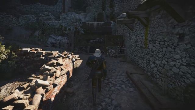 Койон | К какой школе принадлежал этот ведьмак? [Ведьмак Lore] смотреть онлайн