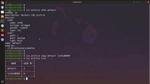 MAAS in LXC container with VLAN Tagging