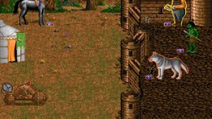 Герои Меча и Магии 1 - #5 Больные земли, часть 3(Кампания Лорда)