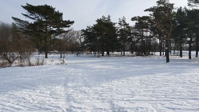 Балтийское море замёрзло ! // пос. Малиновка#калининград#зимавкалининграде#отдыхнаморе#море