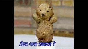 Смешные фрукты и овощи, детям