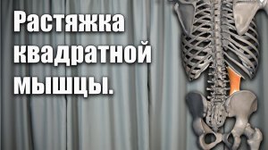 Упражнение для растяжки квадратной мышцы поясницы.