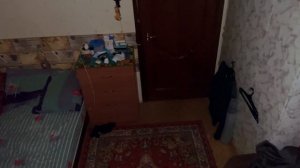 АСМР ищу комара у себя в комнате в 3 ночи...