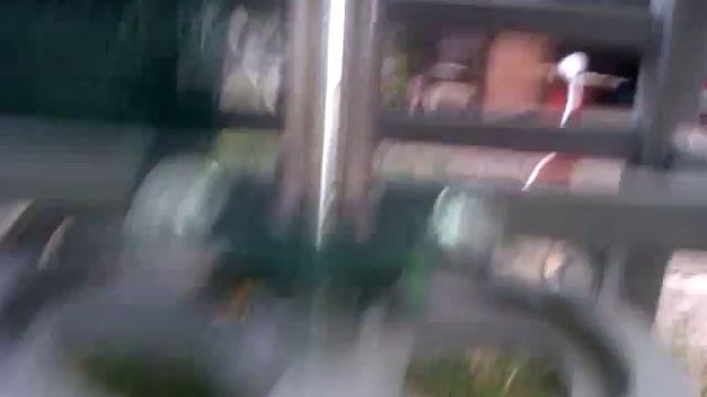 Перосъемная машина для ощипа бройлеров от канала Домашний перепел смотреть онлайн