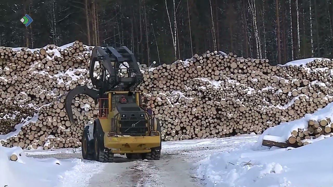 Коснутся ли санкции. Сыктывкар промышленность.