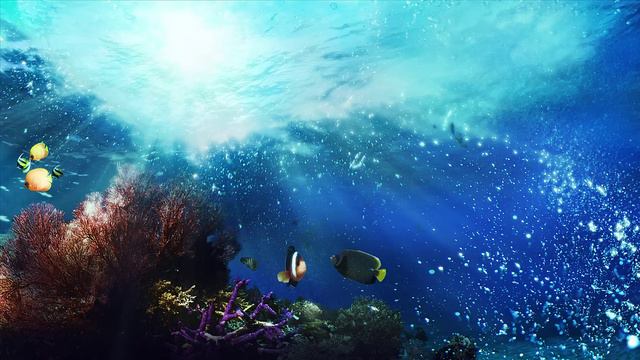 Музыка для релаксации. Расслабьтесь под песни дельфинов и китов под водой смотреть онлайн