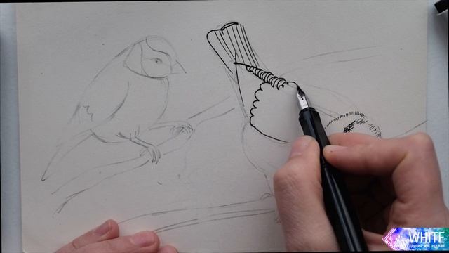 #легасьучитрисовать ПТИЧКУ-СИНИЧКУ смотреть онлайн