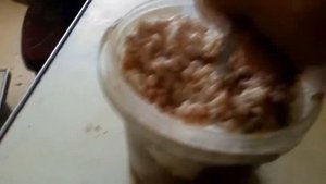 Чем кормить ворону в неволе.   Сместь из гречки риса и творога