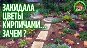 Закидала кирпичами цветы. Пересаживаю цветы из опасного места. 286 серия