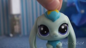 LPS:TAG 20 СТРАННЫХ ВОПРОСОВ