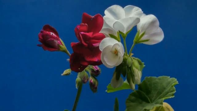 11 апреля 29 лунные сутки смотреть онлайн