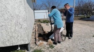 Дом на юге. Делаем новые клумбы.  Благоустройство участка.