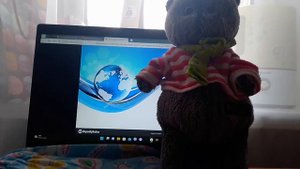 новости Басика. как Басик попал в больницу.