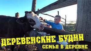 Деревенские будни - Ремонт "ШНИВЫ" ШЕВИ НИВА. Закоптили уточку / Семья в деревне