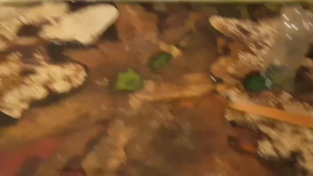 Слэбы + эпоксидка = Столешница своими руками