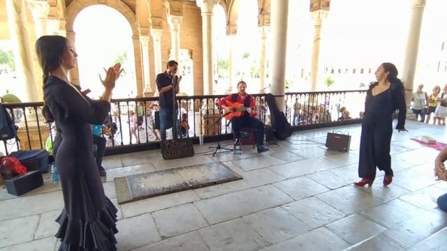 La Flamenco Dance Open Show | Mayo 2023 Ep.34 | Plaza España Sevilla #sevillanas #flamenco #sevill смотреть онлайн