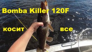 Бомба Киллер 120 Косит все
