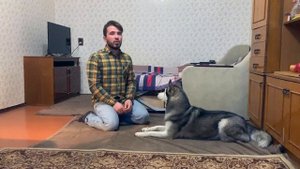 Дрессировка собак. КОМАНДА КУВЫРОК.