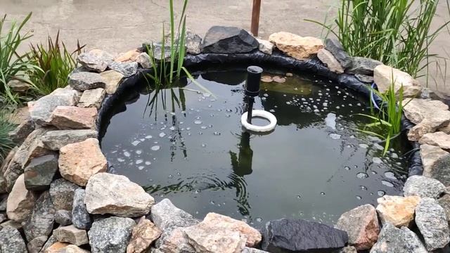 Мой мини пруд.sun sun cuf-2511 обзор день третий смотреть онлайн