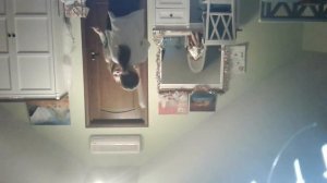 Скрытая камера