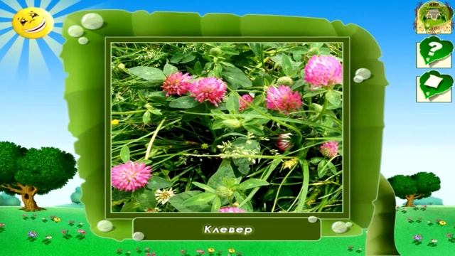 Мир растений. играем - 4 смотреть онлайн