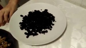 Пробуем сушеную шелковицу.