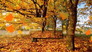 Осенний листопад-песню исполняет Сергей Самонин