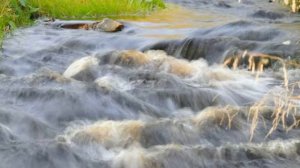 Ильзида Гусманова-Керфегенэ тамармын мин.