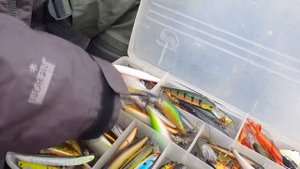 Лучший спиннинг для твичинга. Ловля щуки и окуня. Рыбалка