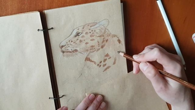 ASMR pencil drawing/ No talking/ АСМР рисование карандашом.