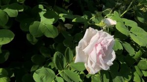 Настрой на повышение самооценки и уверенности в себе. Аффирмации.