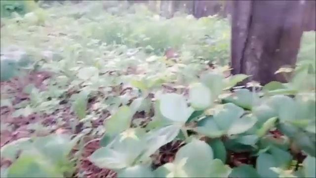 Это Мой Город - 3 ! ( Ленинск - Кузнецкий ) смотреть онлайн