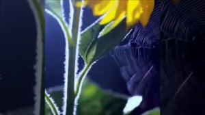 Что делать можно из бамбука?