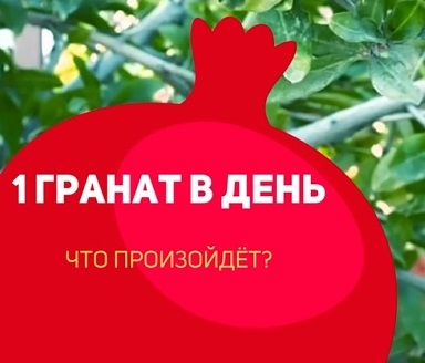 Съедайте по возможности 1 гранат в день!