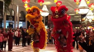 Шангри ла Дракон Новогодний танец.